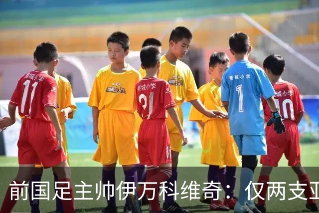 前国足主帅伊万科维奇：仅两支亚足联球队晋级世界杯32强并不意外